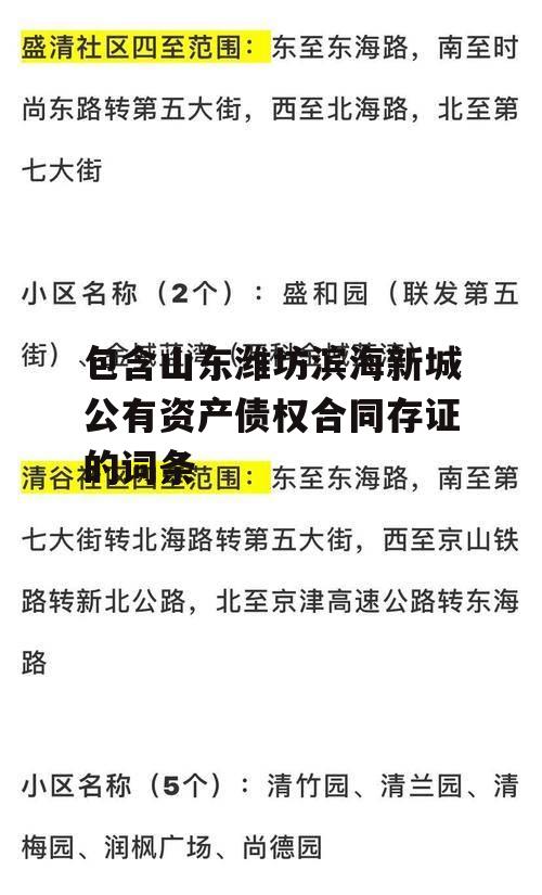 包含山东潍坊滨海新城公有资产债权合同存证的词条