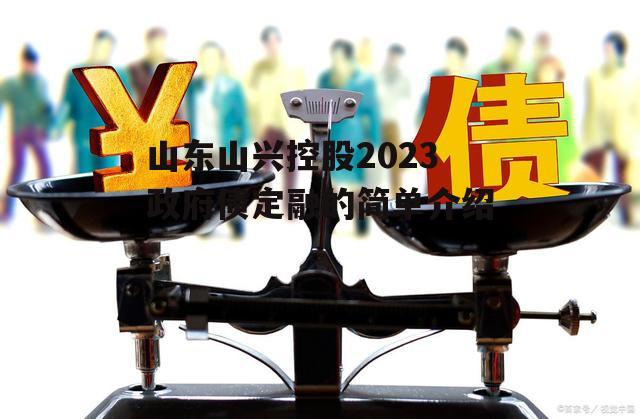 山东山兴控股2023政府债定融的简单介绍