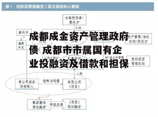 成都成金资产管理政府债 成都市市属国有企业投融资及借款和担保