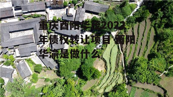 重庆酉阳华茂2022年债权转让项目 酉阳华渝是做什么