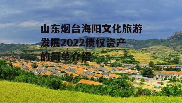 山东烟台海阳文化旅游发展2022债权资产的简单介绍