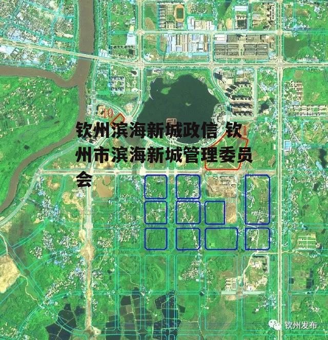 钦州滨海新城政信 钦州市滨海新城管理委员会