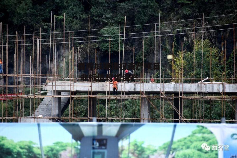 酉阳城建债权资产项目 非标债权类资产