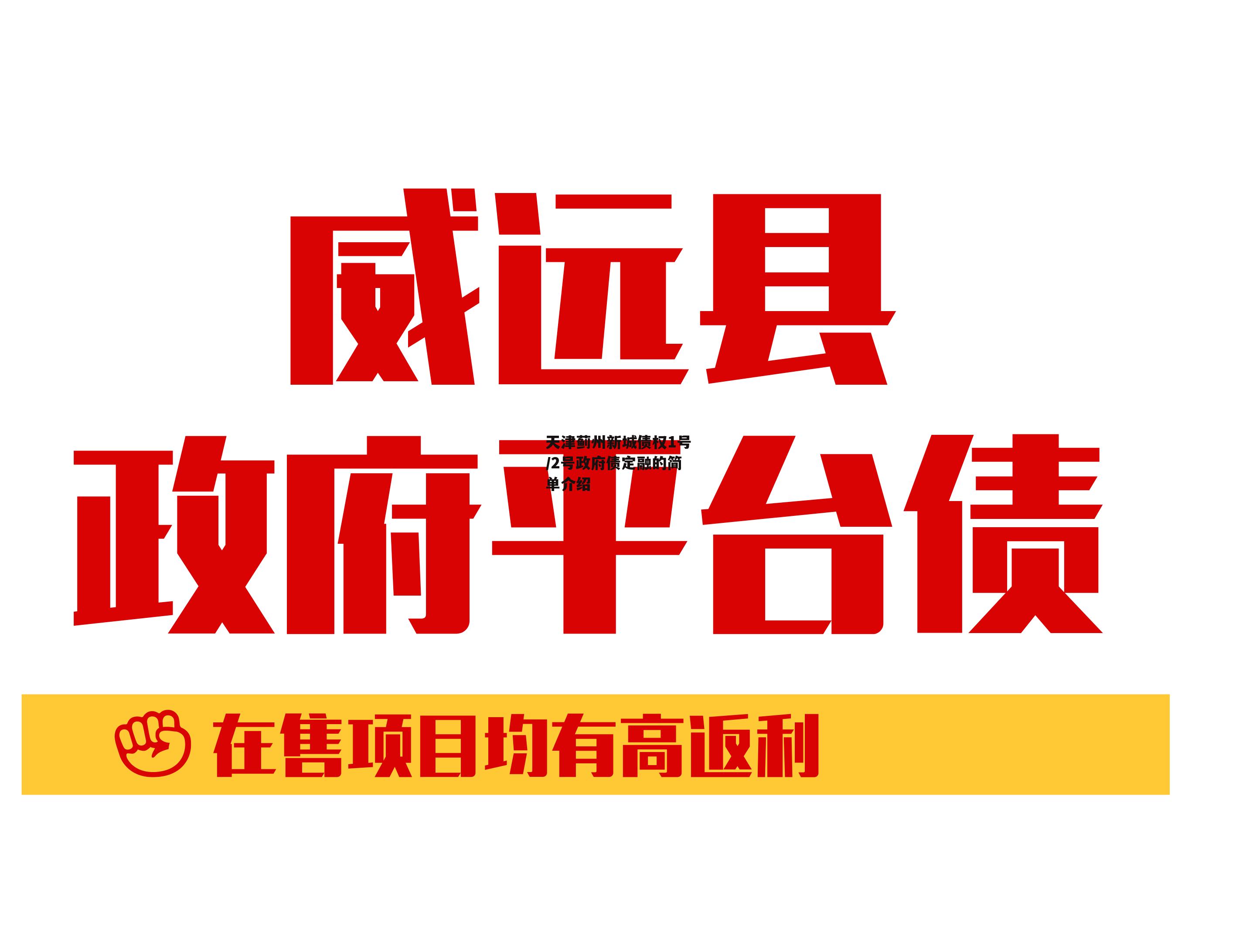 天津蓟州新城债权1号/2号政府债定融的简单介绍