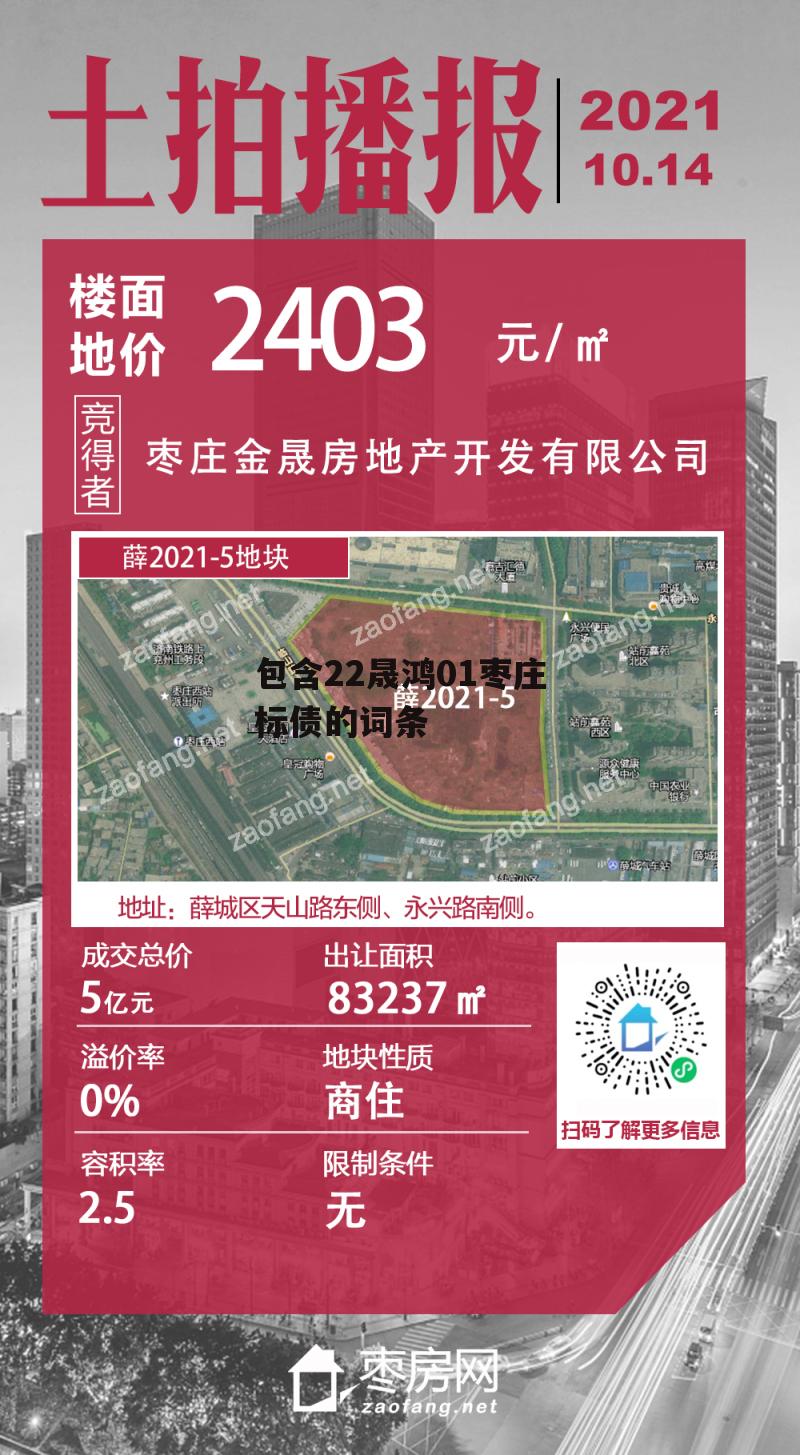 包含22晟鸿01枣庄标债的词条