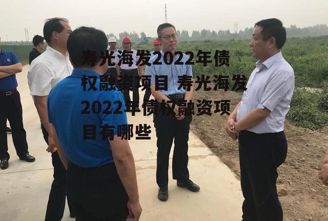 寿光海发2022年债权融资项目 寿光海发2022年债权融资项目有哪些