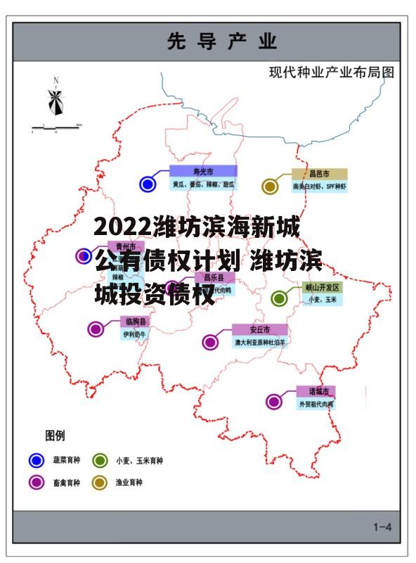 2022潍坊滨海新城公有债权计划 潍坊滨城投资债权