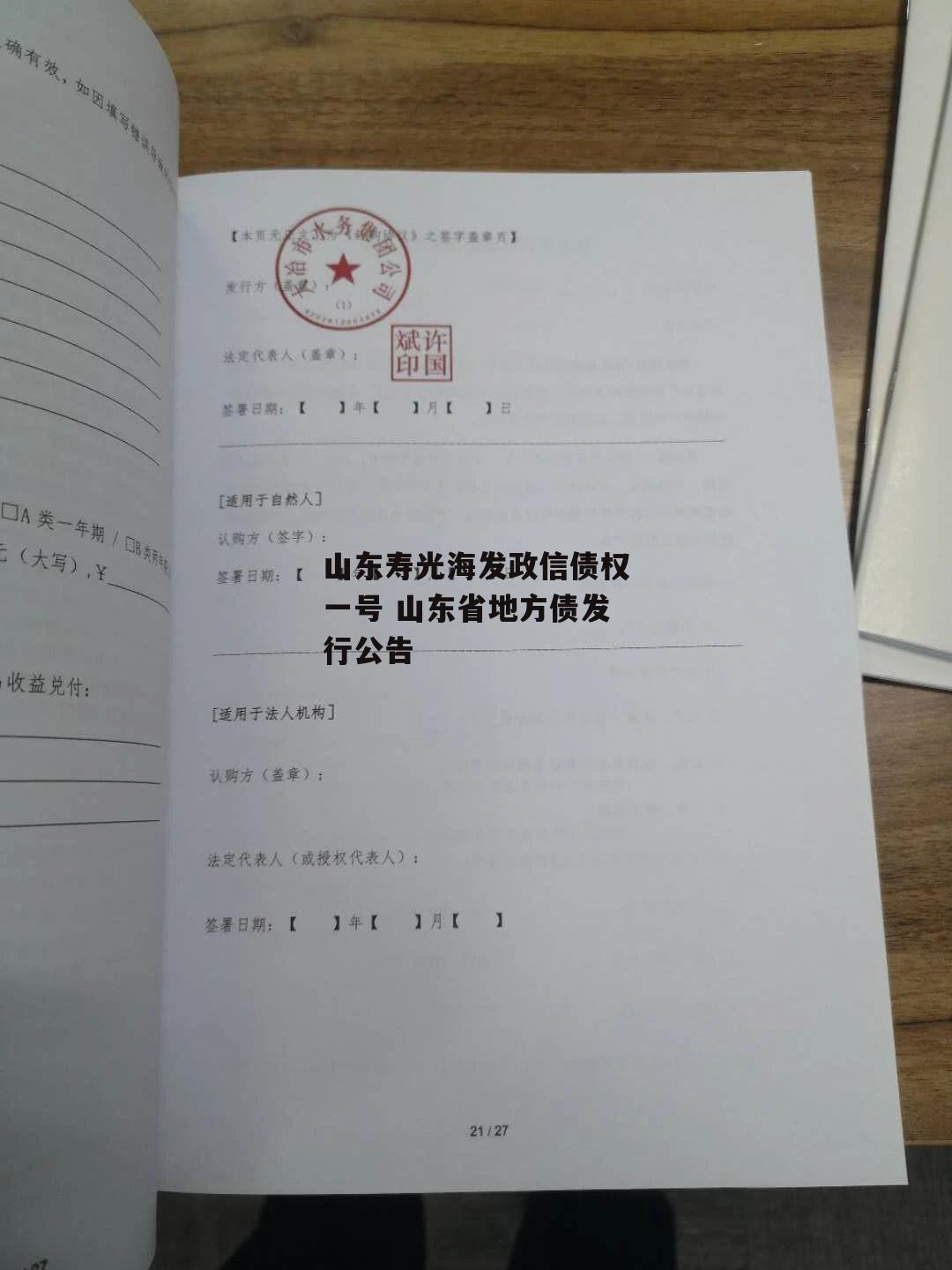 山东寿光海发政信债权一号 山东省地方债发行公告