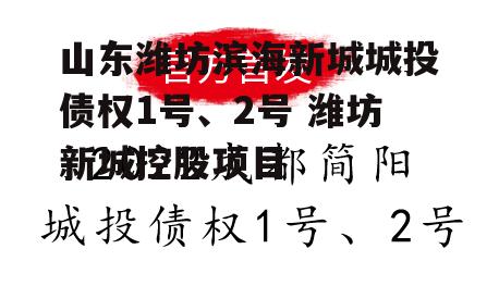 山东潍坊滨海新城城投债权1号、2号 潍坊新城控股项目