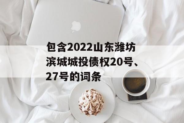 包含2022山东潍坊滨城城投债权20号、27号的词条