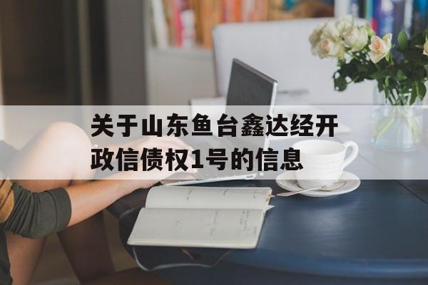 关于山东鱼台鑫达经开政信债权1号的信息