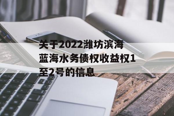 关于2022潍坊滨海蓝海水务债权收益权1至2号的信息