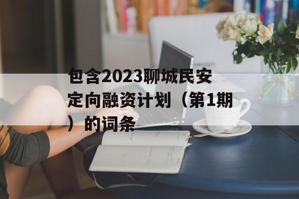 包含2023聊城民安定向融资计划（第1期）的词条