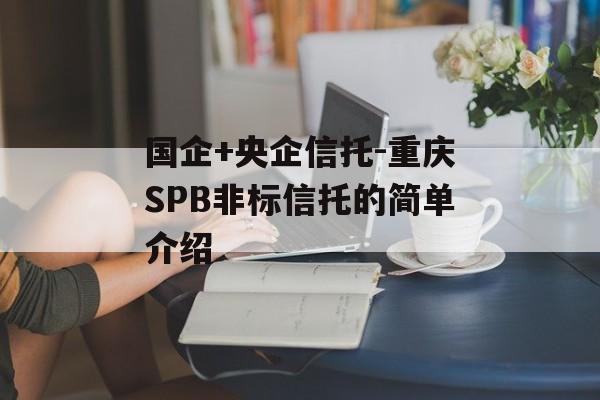 国企+央企信托-重庆SPB非标信托的简单介绍