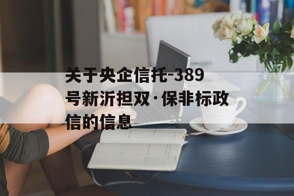 关于央企信托-389号新沂担双·保非标政信的信息