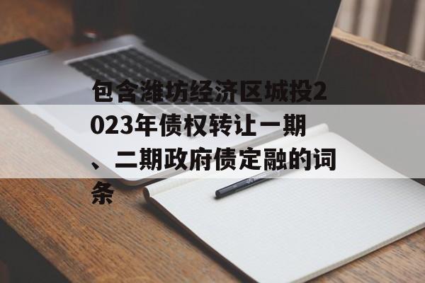 包含潍坊经济区城投2023年债权转让一期、二期政府债定融的词条