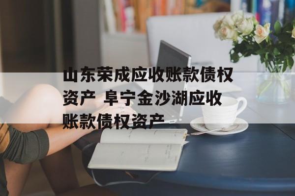 山东荣成应收账款债权资产 阜宁金沙湖应收账款债权资产