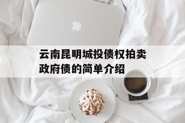 云南昆明城投债权拍卖政府债的简单介绍