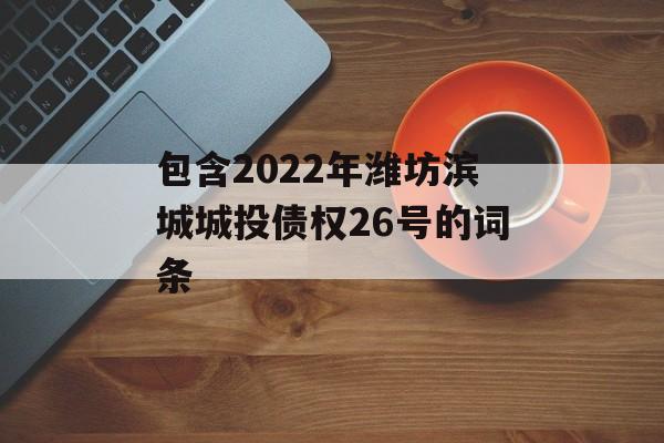 包含2022年潍坊滨城城投债权26号的词条