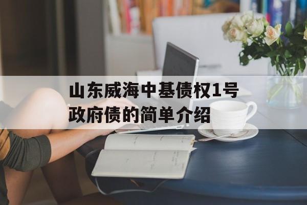 山东威海中基债权1号政府债的简单介绍