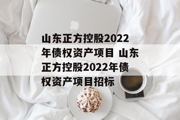 山东正方控股2022年债权资产项目 山东正方控股2022年债权资产项目招标