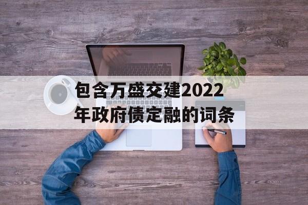 包含万盛交建2022年政府债定融的词条