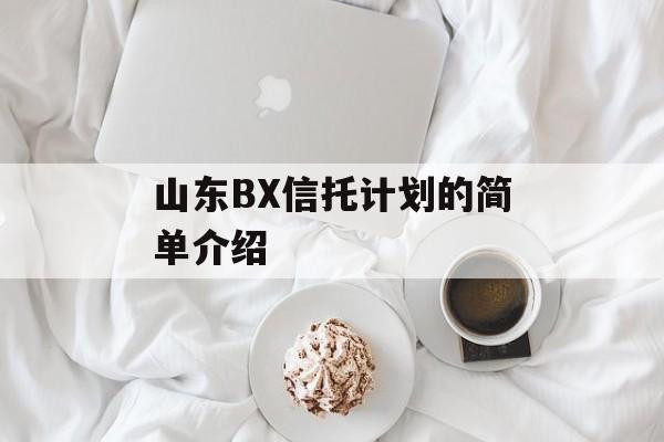 山东BX信托计划的简单介绍