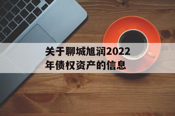 关于聊城旭润2022年债权资产的信息