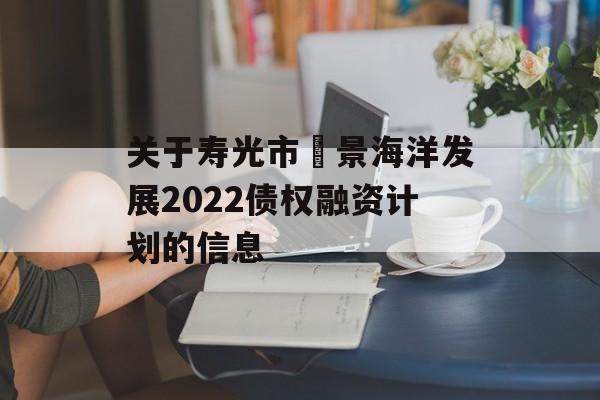 关于寿光市昇景海洋发展2022债权融资计划的信息