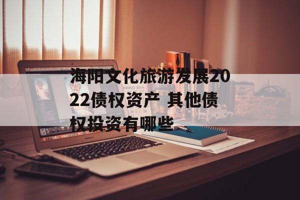 海阳文化旅游发展2022债权资产 其他债权投资有哪些