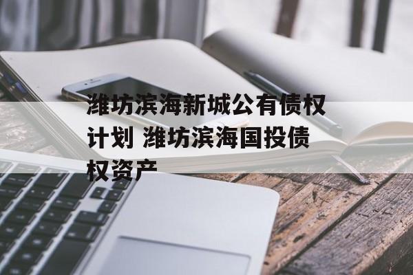 潍坊滨海新城公有债权计划 潍坊滨海国投债权资产