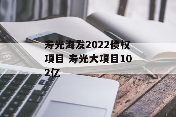 寿光海发2022债权项目 寿光大项目102亿