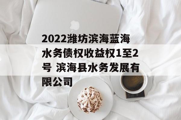 2022潍坊滨海蓝海水务债权收益权1至2号 滨海县水务发展有限公司