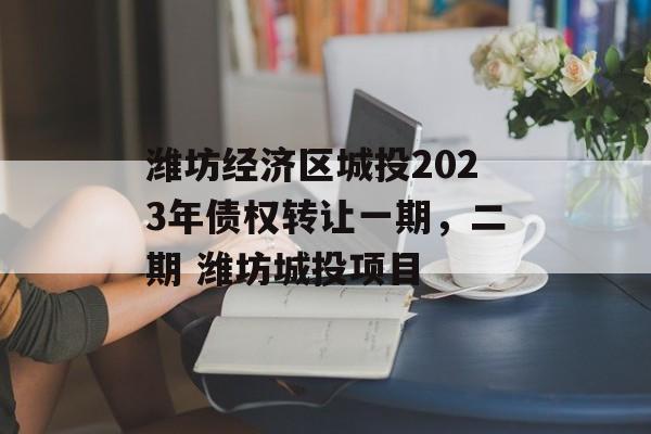 潍坊经济区城投2023年债权转让一期，二期 潍坊城投项目