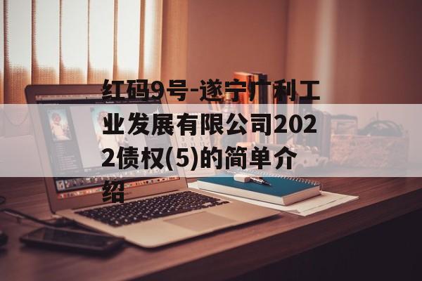 红码9号-遂宁广利工业发展有限公司2022债权(5)的简单介绍