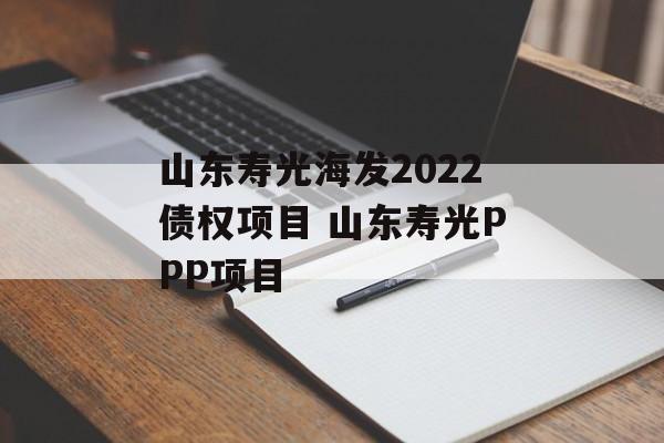 山东寿光海发2022债权项目 山东寿光PPP项目