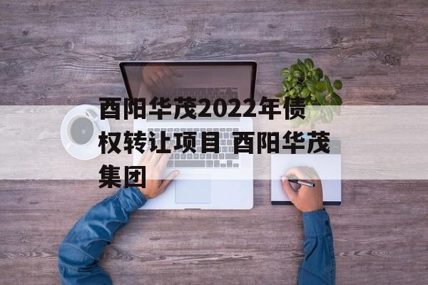 酉阳华茂2022年债权转让项目 酉阳华茂集团