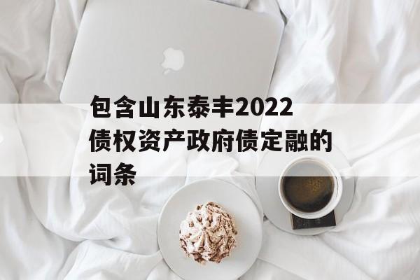 包含山东泰丰2022债权资产政府债定融的词条