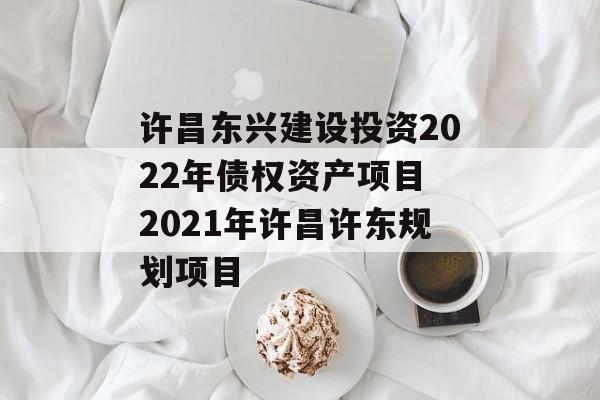 许昌东兴建设投资2022年债权资产项目 2021年许昌许东规划项目