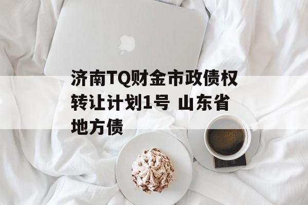 济南TQ财金市政债权转让计划1号 山东省地方债