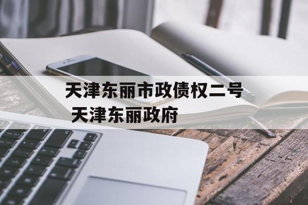 天津东丽市政债权二号 天津东丽政府