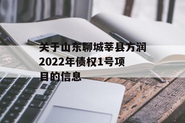 关于山东聊城莘县方润2022年债权1号项目的信息