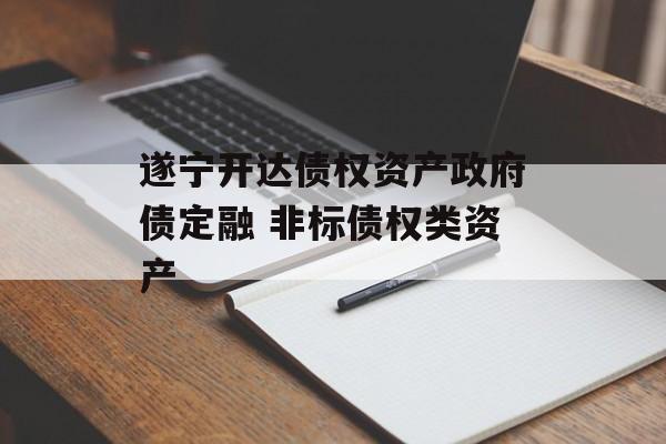 遂宁开达债权资产政府债定融 非标债权类资产