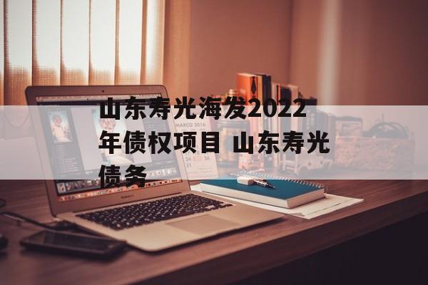 山东寿光海发2022年债权项目 山东寿光债务