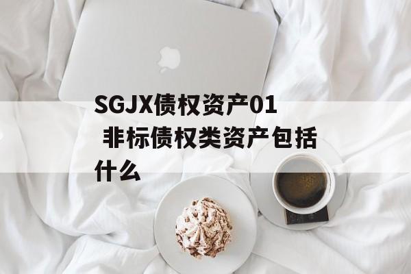 SGJX债权资产01 非标债权类资产包括什么