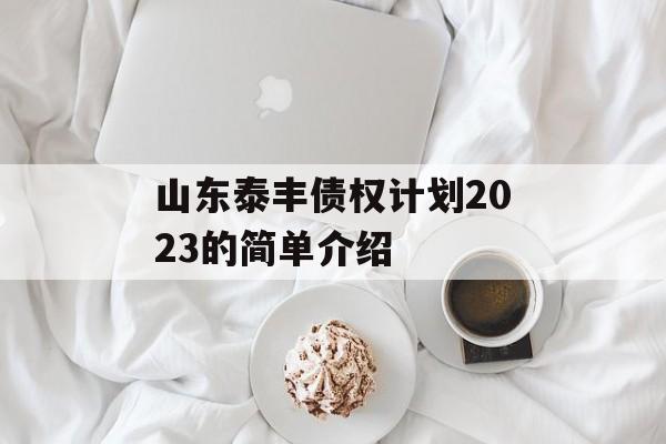 山东泰丰债权计划2023的简单介绍