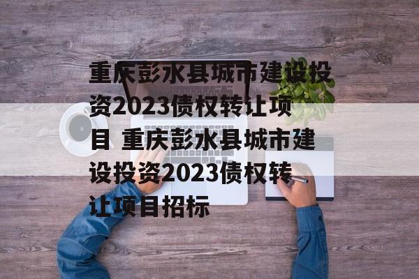 重庆彭水县城市建设投资2023债权转让项目 重庆彭水县城市建设投资2023债权转让项目招标