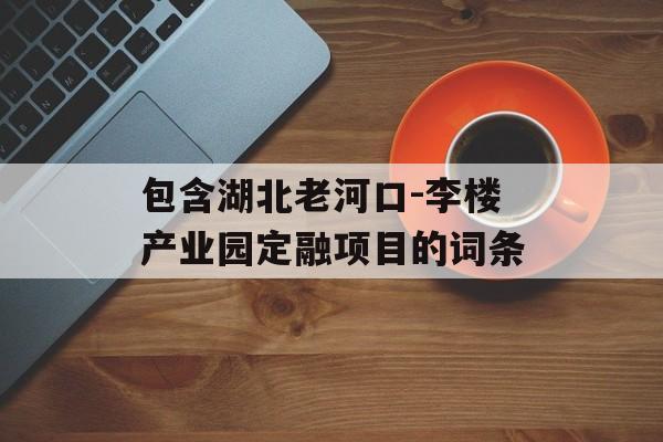 包含湖北老河口-李楼产业园定融项目的词条