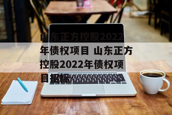 山东正方控股2022年债权项目 山东正方控股2022年债权项目招标