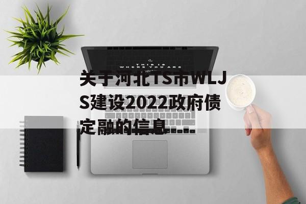 关于河北TS市WLJS建设2022政府债定融的信息